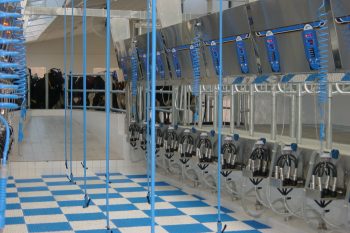 Доильные залы BouMatic