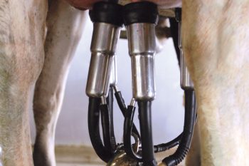 Расходные элементы