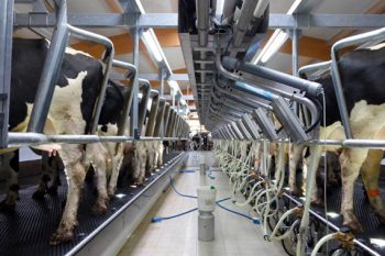 Краткое описание систем BouMatic