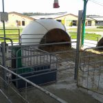 Групповые домики для телят