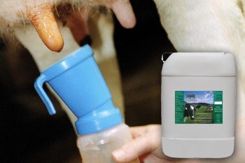 Обработка вымени до и после доения