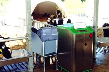 Автоматы для выпойки телят