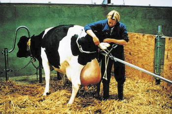 Приспособления для родовспоможения