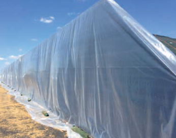 Защитные сетки, пленки, мешки