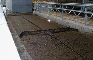 Удаление навоза