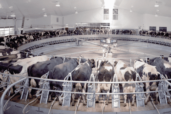 Оборудование для доения